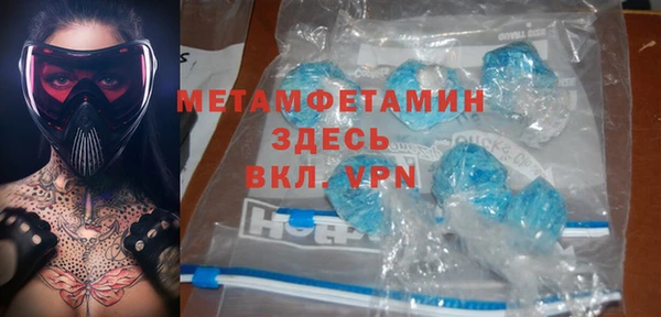 шишки Белокуриха