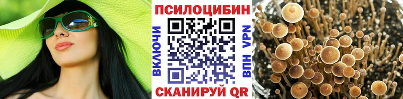 Галлюциногенные грибы мухоморы  blacksprut ССЫЛКА  Нерюнгри 